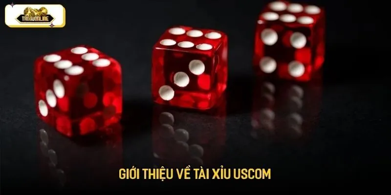 Đôi nét về chúng tôi Tài Xỉu USCOM
